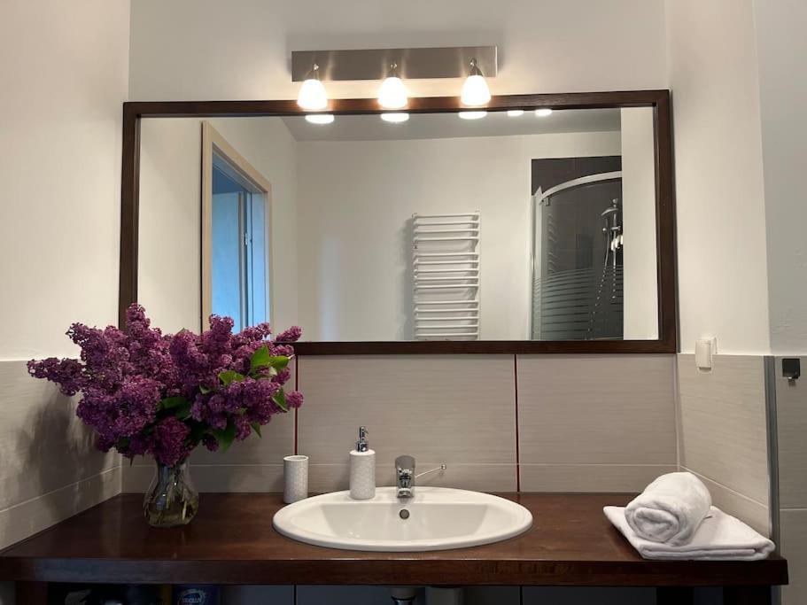 Apartament Hemingwaya Jelenia Góra Eksteriør billede