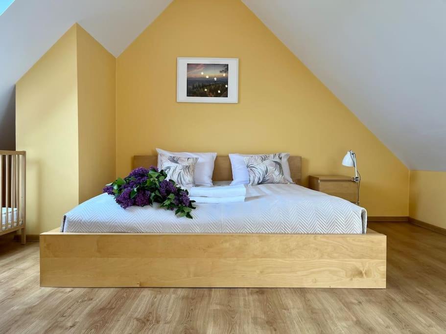 Apartament Hemingwaya Jelenia Góra Eksteriør billede