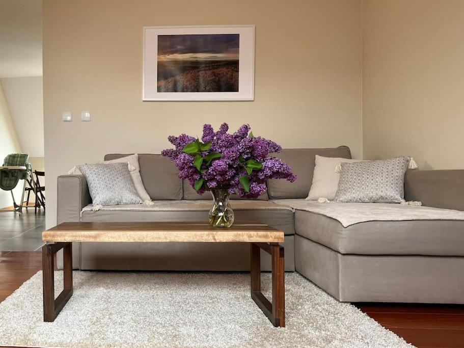 Apartament Hemingwaya Jelenia Góra Eksteriør billede